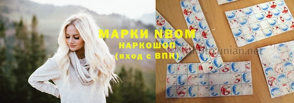 кокс Ростов