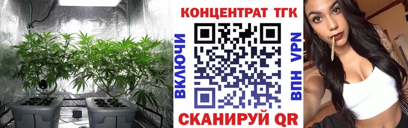 ТГК концентрат  Киржач 