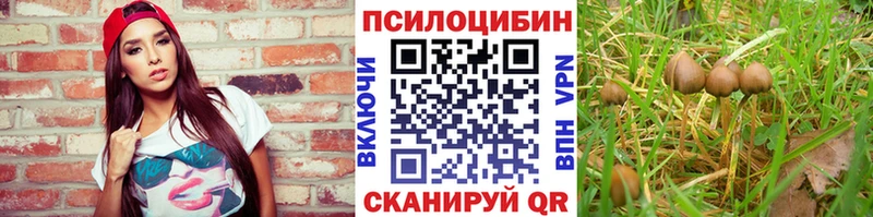 Галлюциногенные грибы прущие грибы Киржач